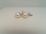 14Kt. Yellow Gold "AA" 6-6.5Mm Fresh Water Pearl Studs