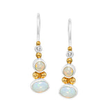 Sterling Silver 22Kt. Gold Vermeil With Opal Gemstones French Wire Earrings By Michou